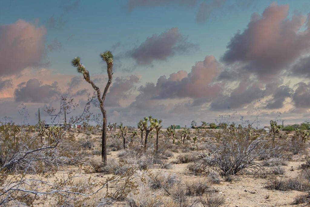 Photo of Listing #219135321PS