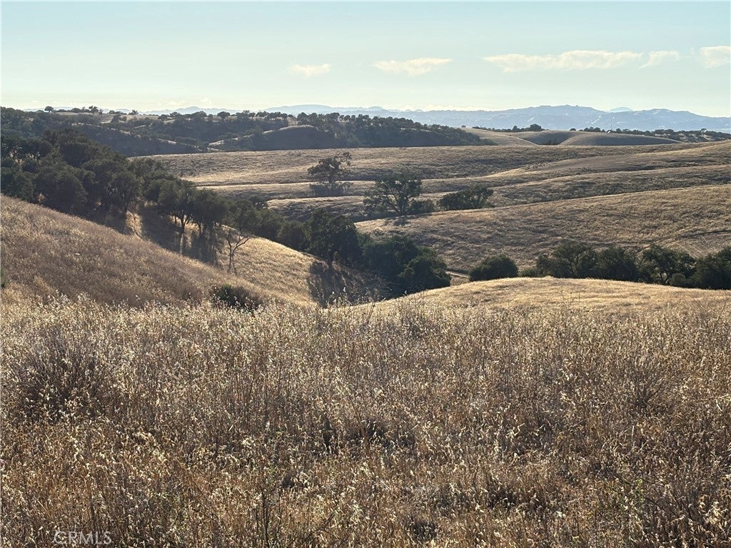 Photo of Listing #NS25217148