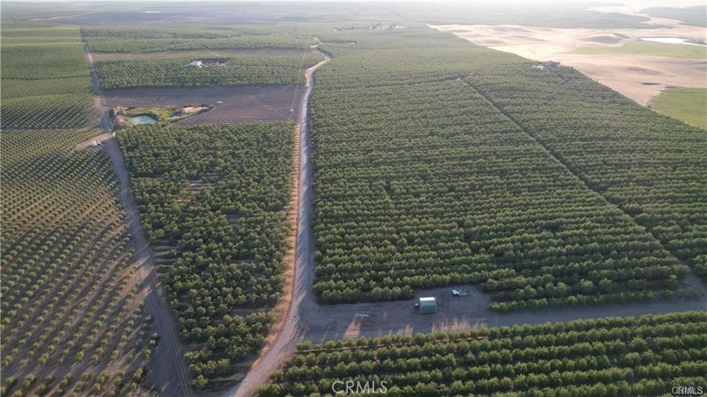 Photo of Listing #MC25217206