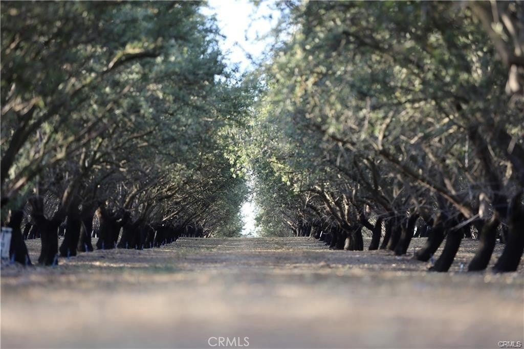 Photo of Listing #MC25217209