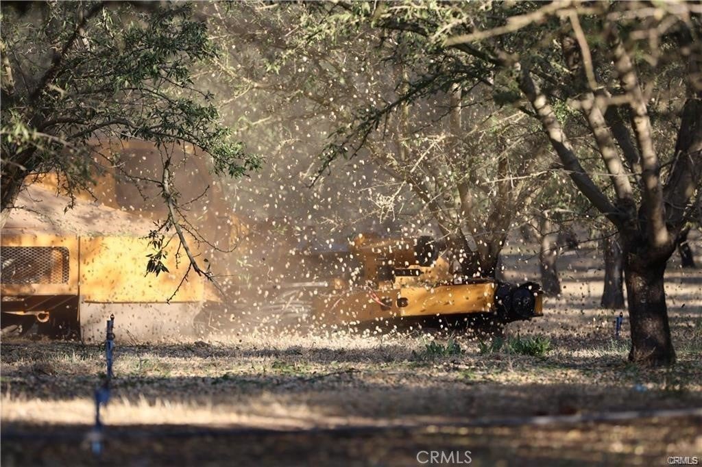 Photo of Listing #MC25217214