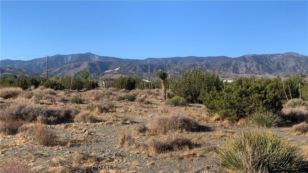 Photo of Listing #PW25217153