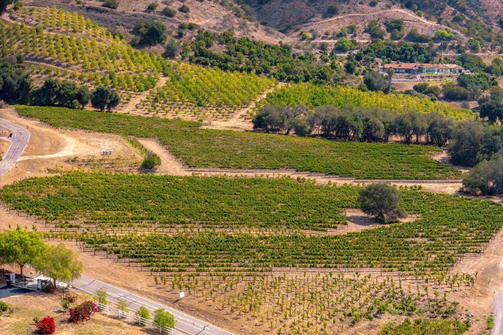 Photo of Listing #PTP2507052