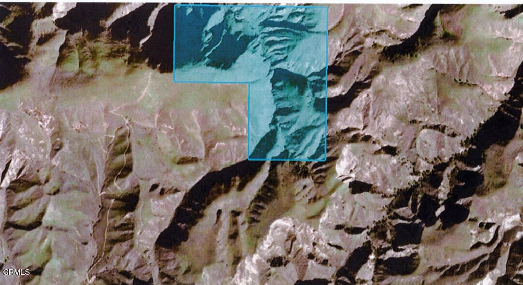 Photo of Listing #V1-32362