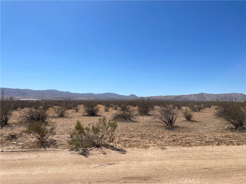 Photo of Listing #HD25218494