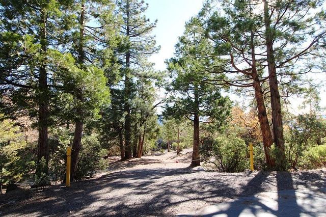 Gibbs-gully, Idyllwild