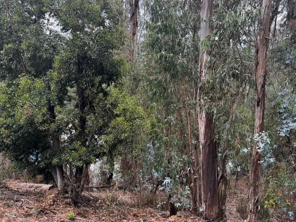 Photo of Listing #ML82021923