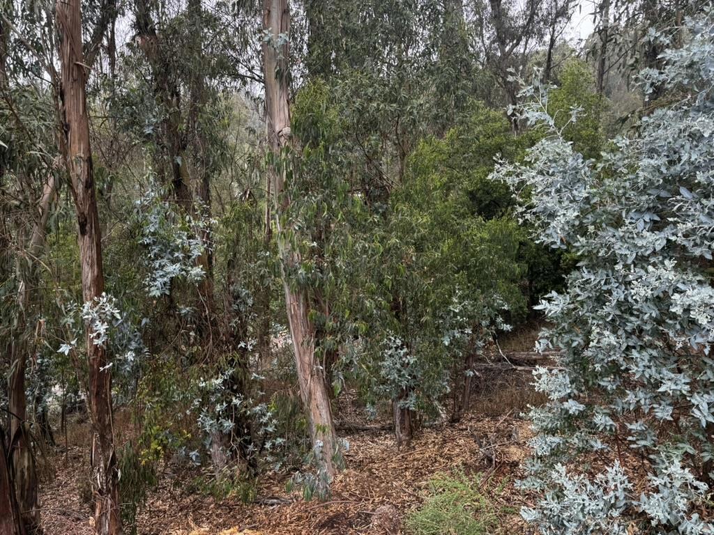 Photo of Listing #ML82021924