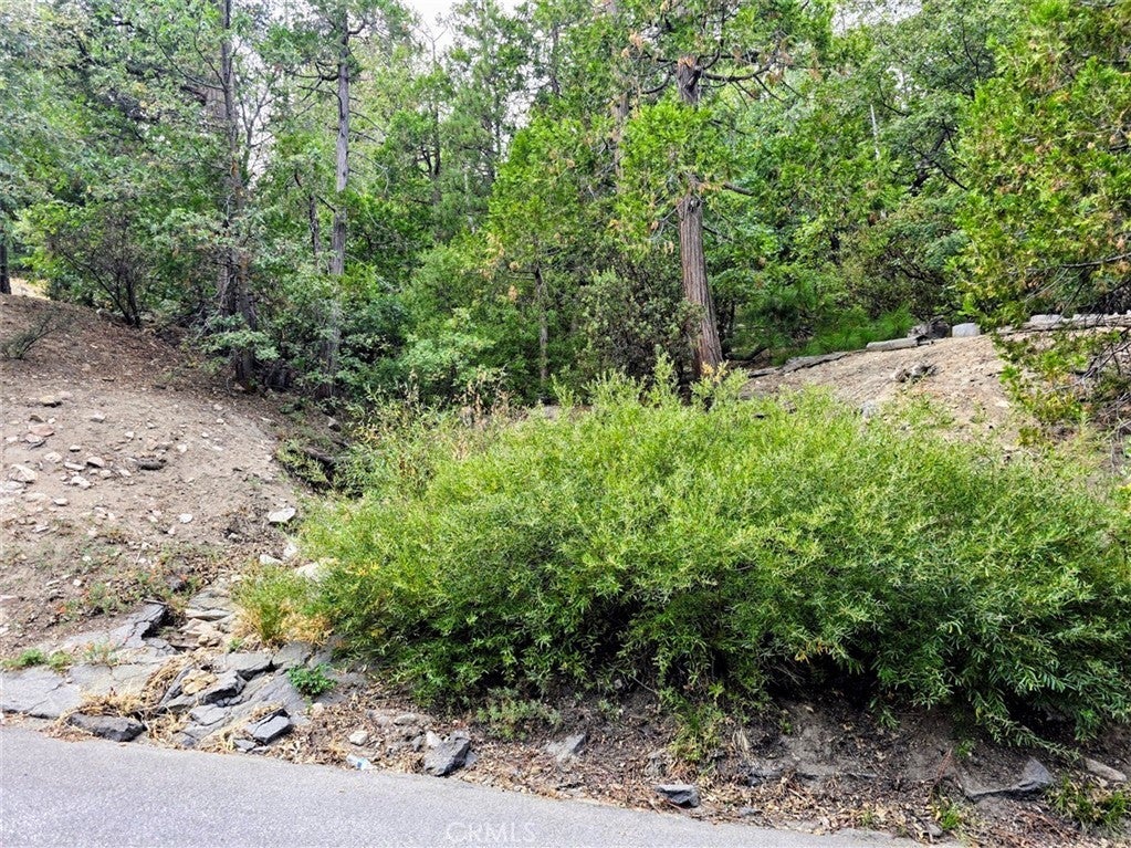 Photo of Listing #IG25219859