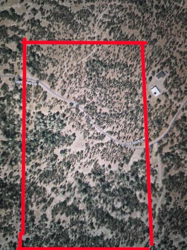 Joe Dog Lane, Cottonwood