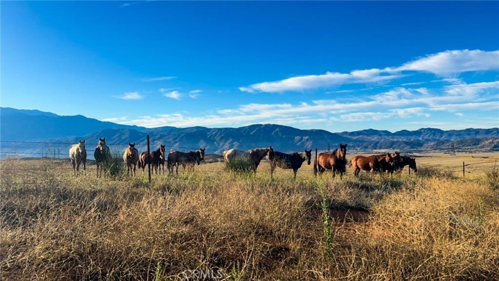 Photo of Listing #TR25220275