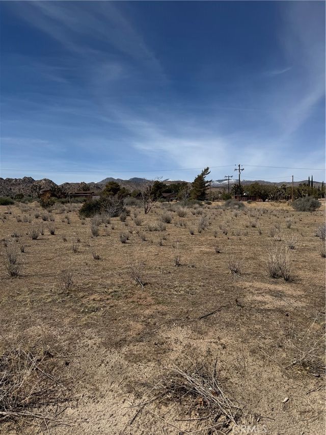 Minna Gombell, Pioneertown