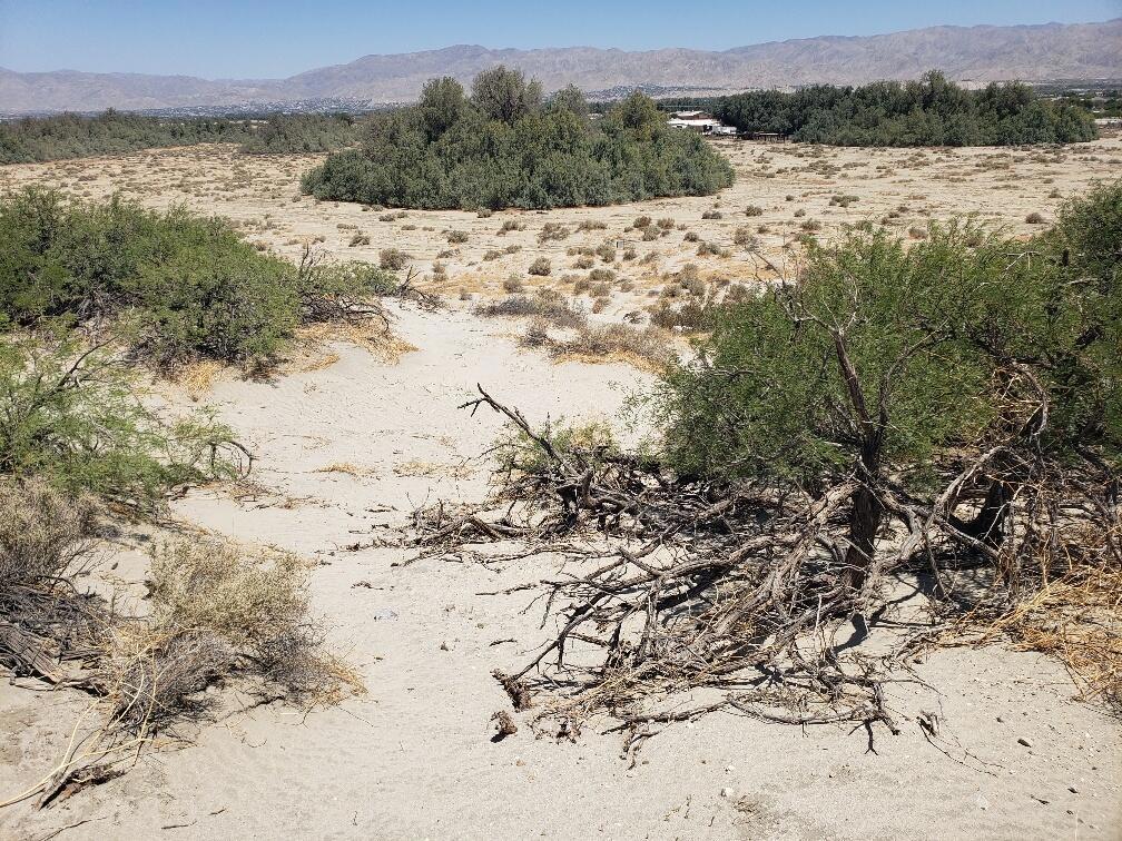 Photo of Listing #219135671DA