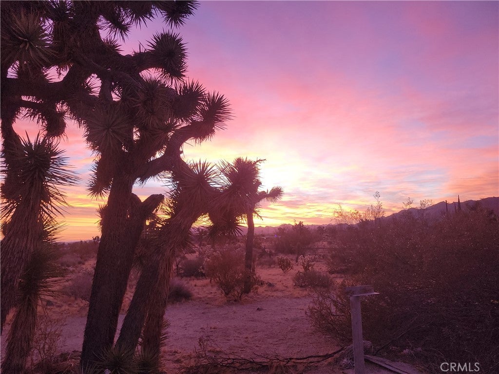 39625 Buena Vista, Morongo Valley