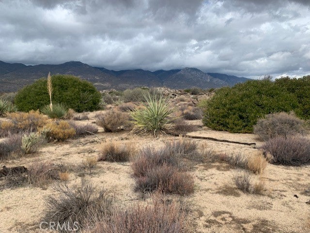 Photo of Listing #SW25221501