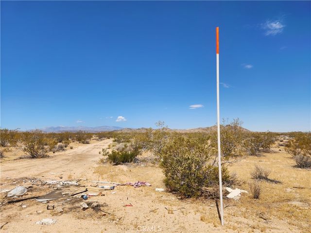 40 Ac Joshua Tree, Joshua Tree