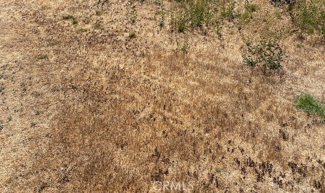 Photo of Listing #PW25223640