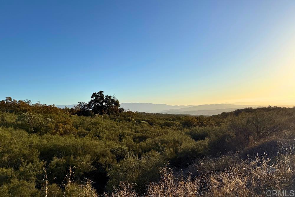 Photo of Listing #PTP2507282