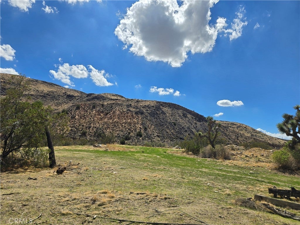 Photo of Listing #JT25224724