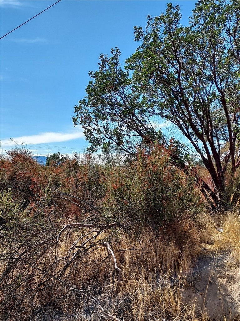 Photo of Listing #LC25221754