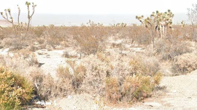 Photo of Listing #OC25225292