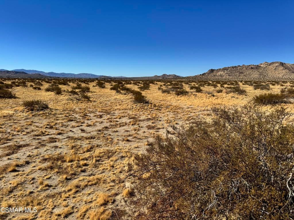 Photo of Listing #225004872