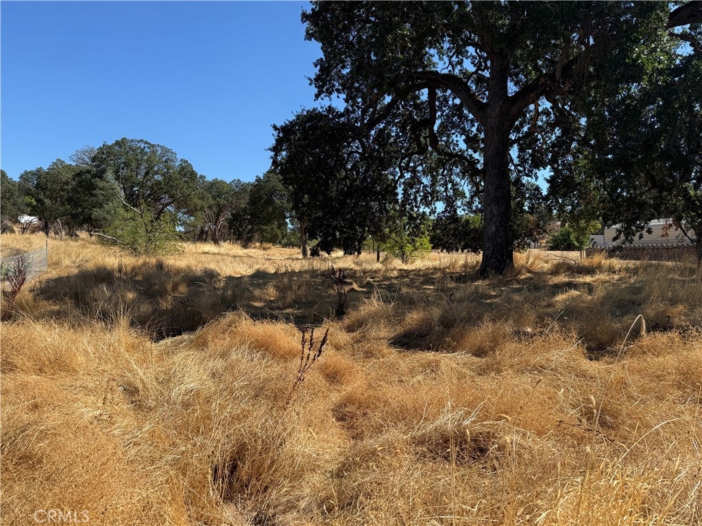 Photo of Listing #LC25225602