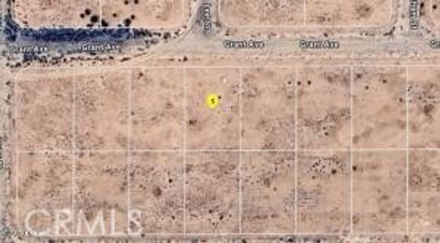 Grant Avenue, California City