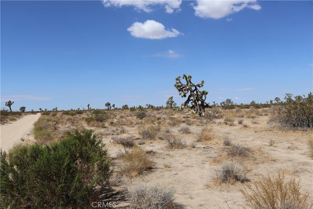 Photo of Listing #HD25226176