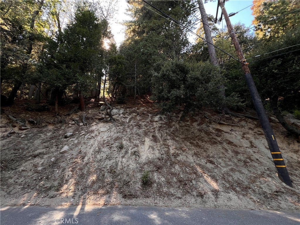 Photo of Listing #IG25228181