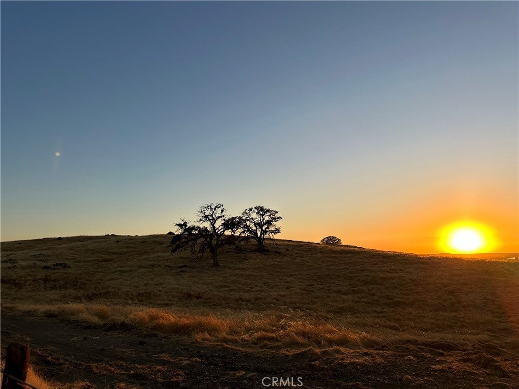 Photo of Listing #MC25228363