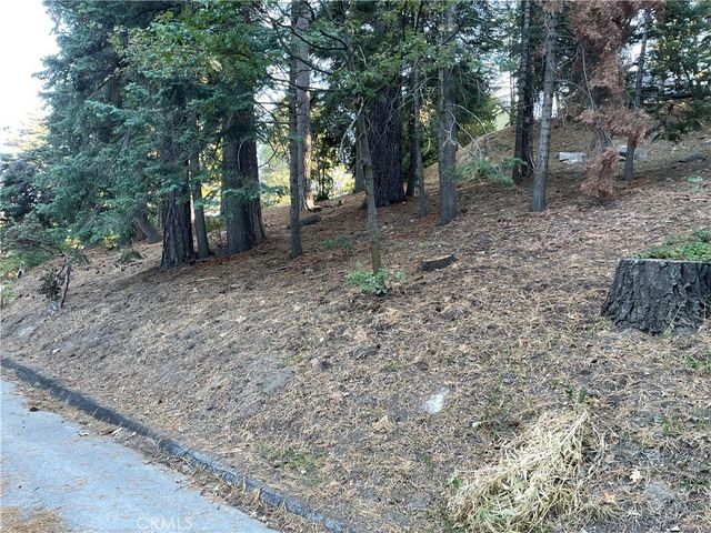 26405 Walnut Hills, Lake Arrowhead