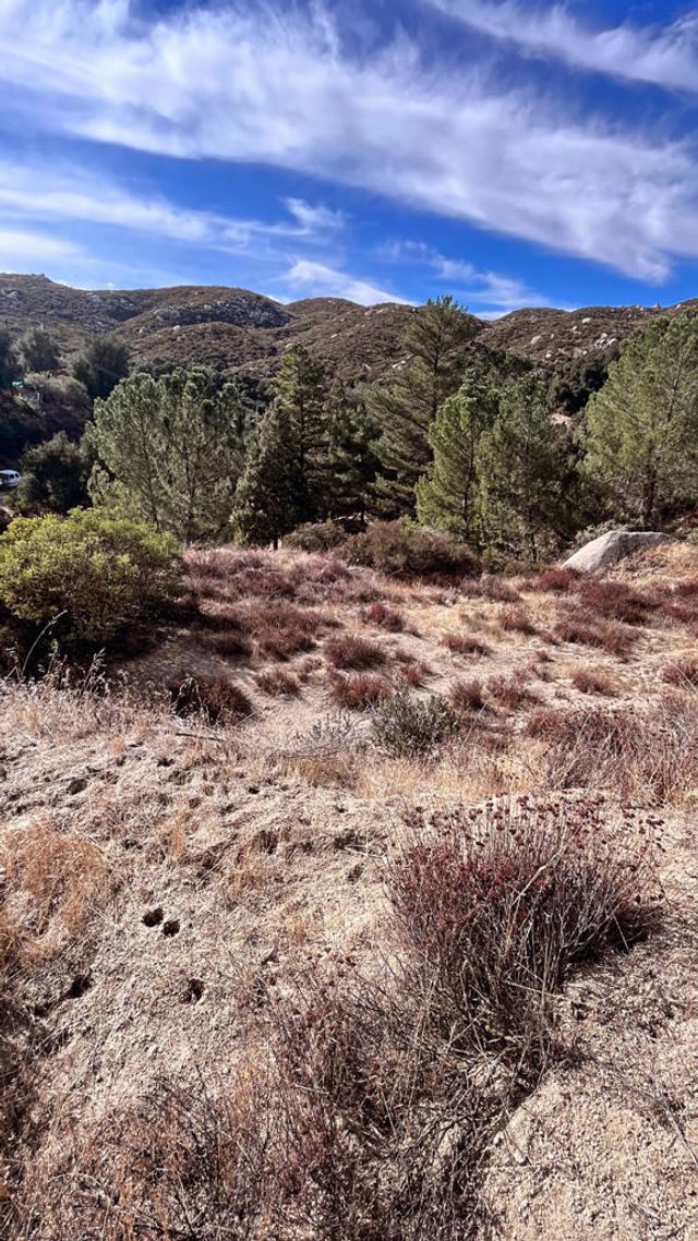 Partridge Lane, Banning