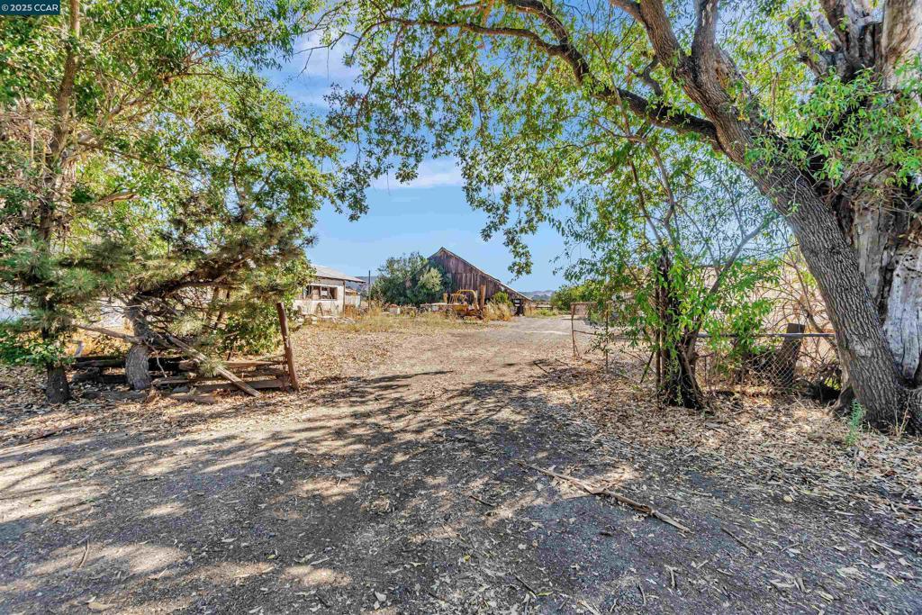 Photo of Listing #41113290