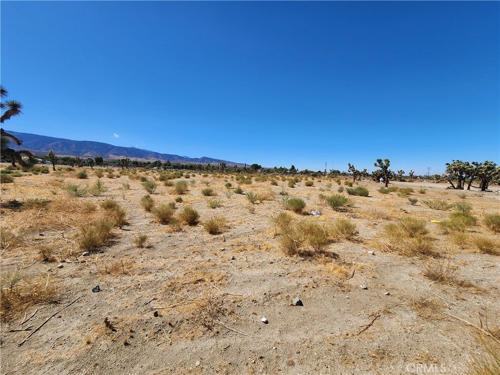 Photo of Listing #HD25229665