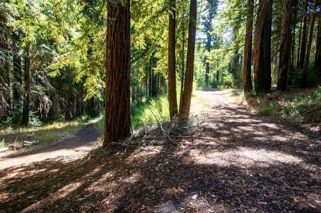19145 Big Basin Way, Boulder Creek