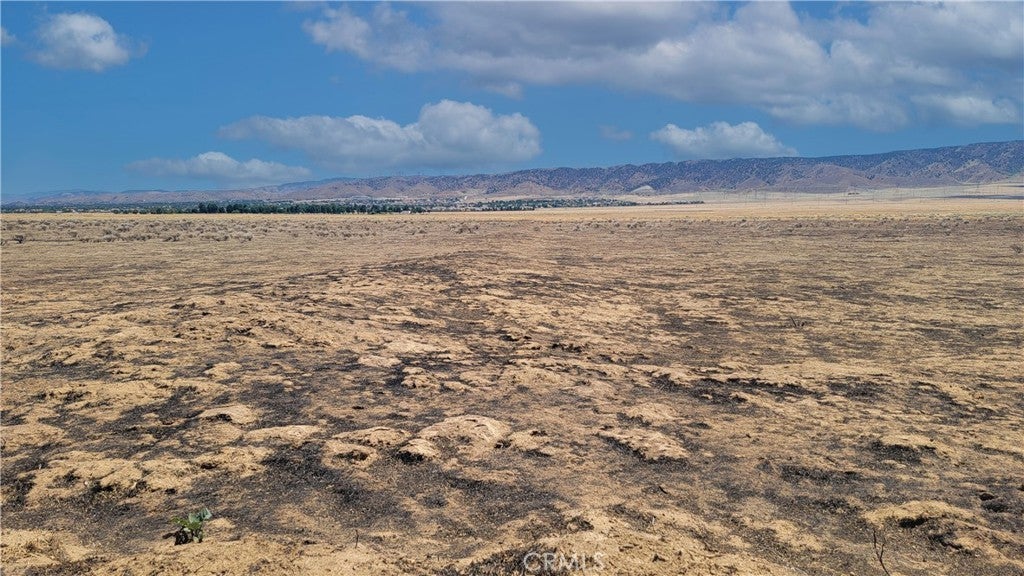 Photo of Listing #SR25230439