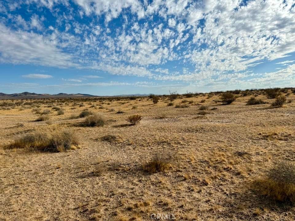 Photo of Listing #HD25230540