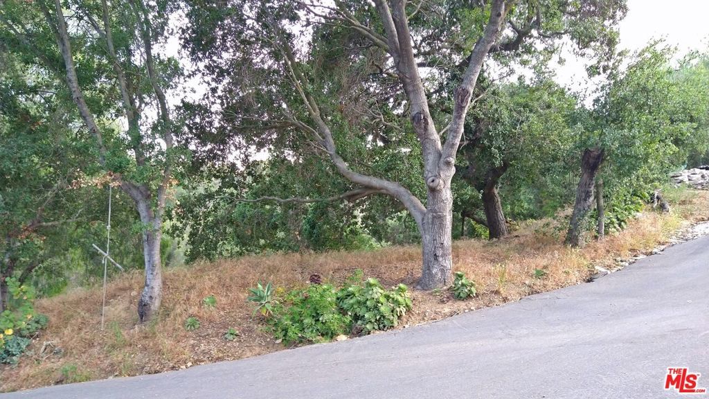 Photo of Listing #25600773