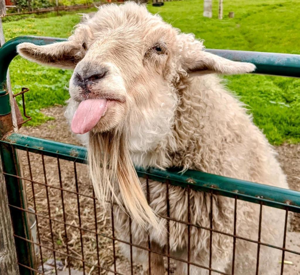 San Lucas, Moss Beach