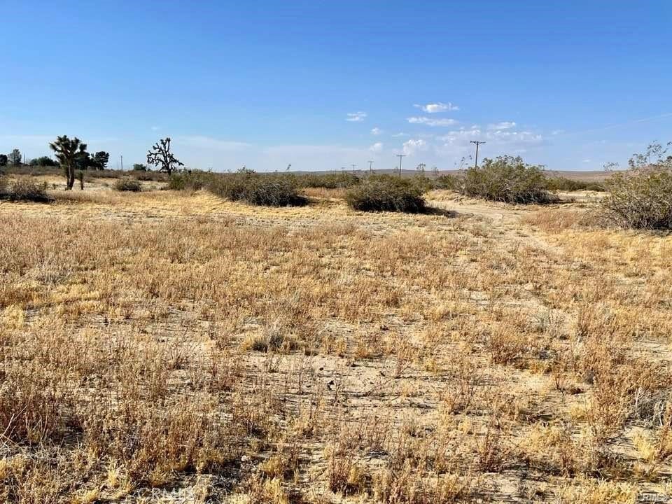 Photo of Listing #HD25231562