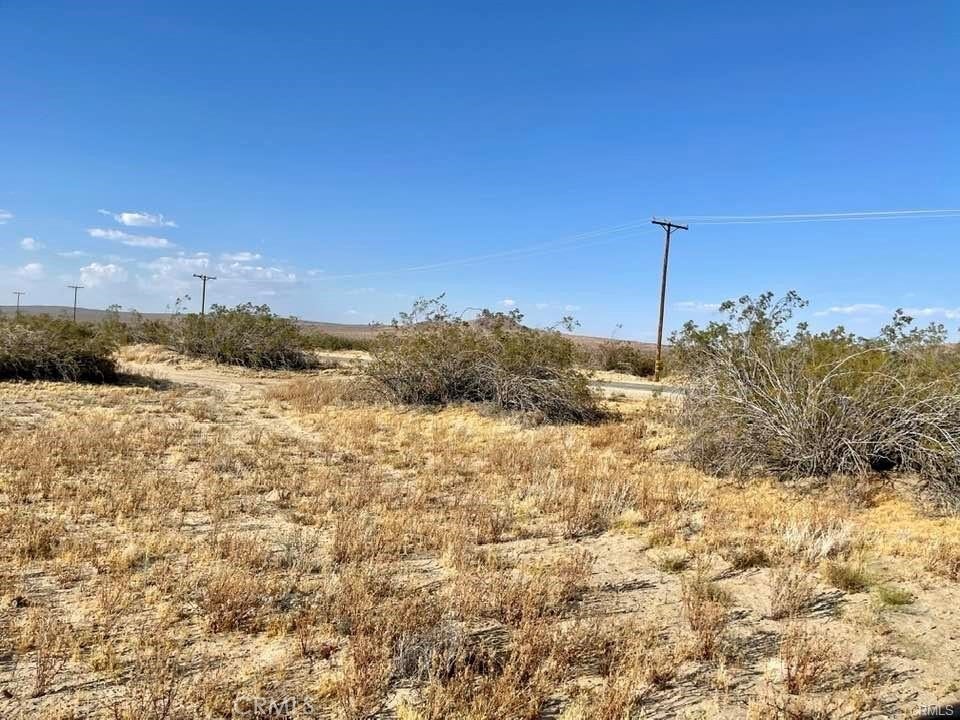 Photo of Listing #HD25231562