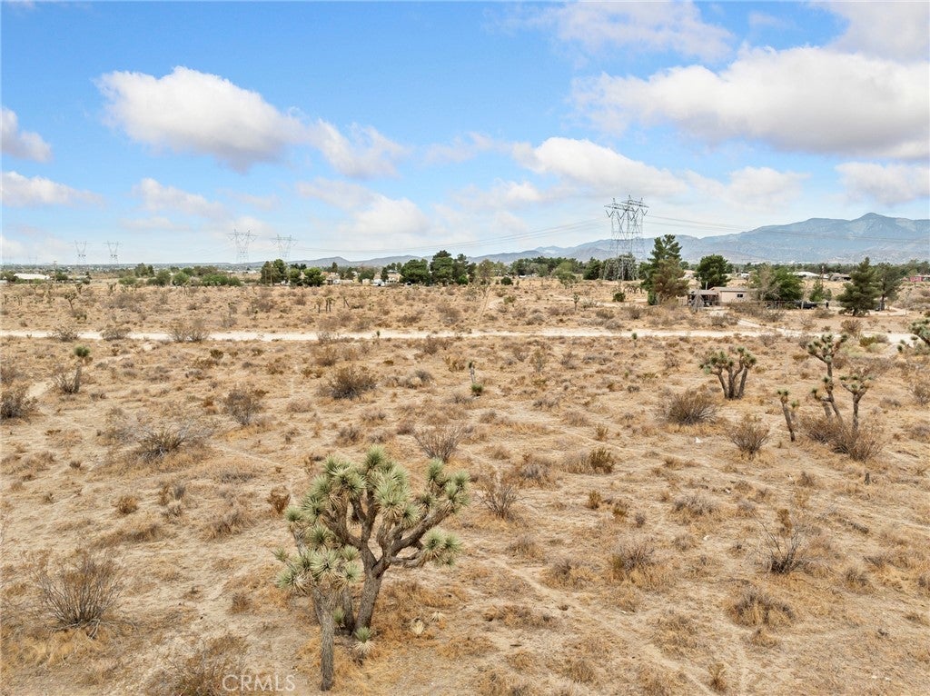 Photo of Listing #HD25229193