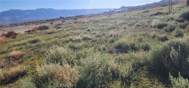Rabbit Springs Road, Lucerne Valley