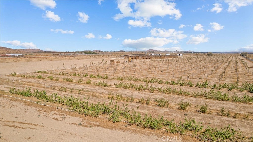 Photo of Listing #SR25232873