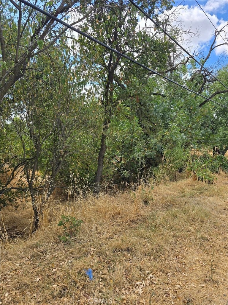 1466 Hammonton Smartsville Road, Linda