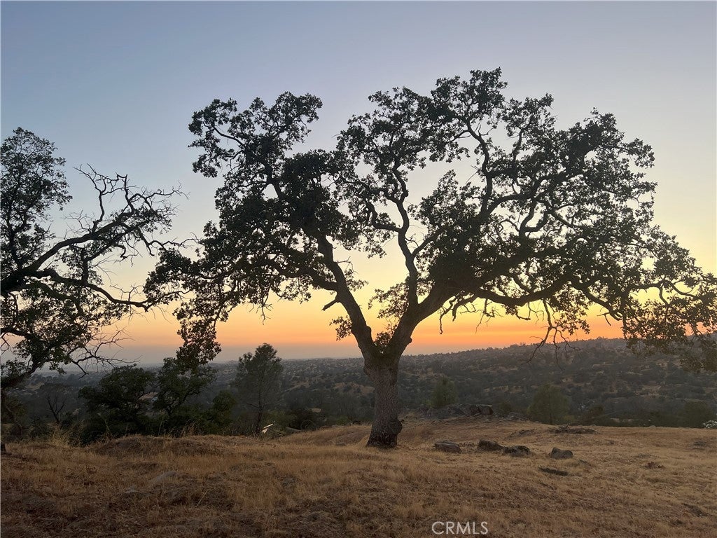 Photo of Listing #FR25233720