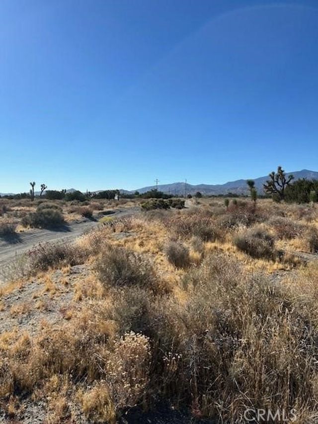 Calaveras, Pinon Hills