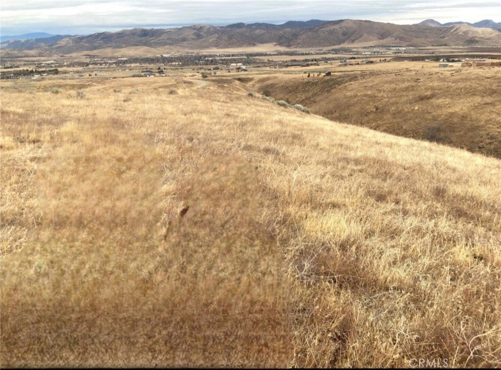 Photo of Listing #SR25234132