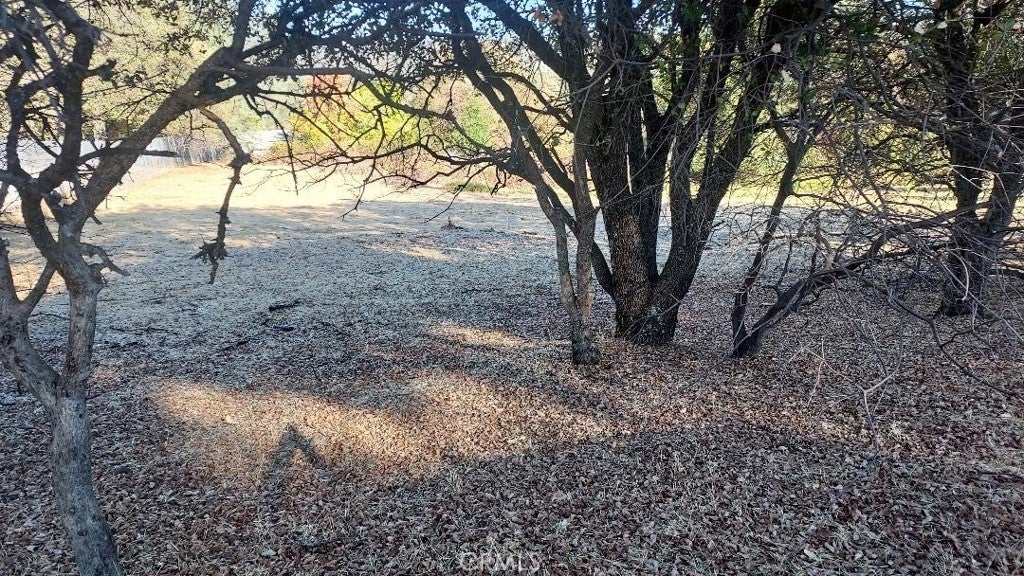 Photo of Listing #OR25234431